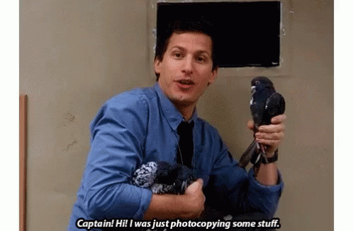 Andy Samberg And His Pigeon GIF