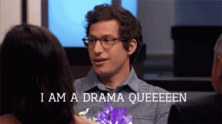 Andy Sandberg Am I The Drama Queen GIF
