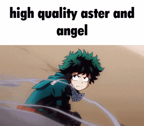 Angel And Aster Midoriya Izuku Gif GIF