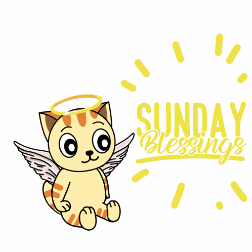 Angel Cat Happy Fall Sunday GIF