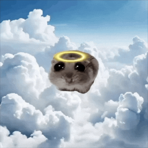 Angel Sad Hamster GIF