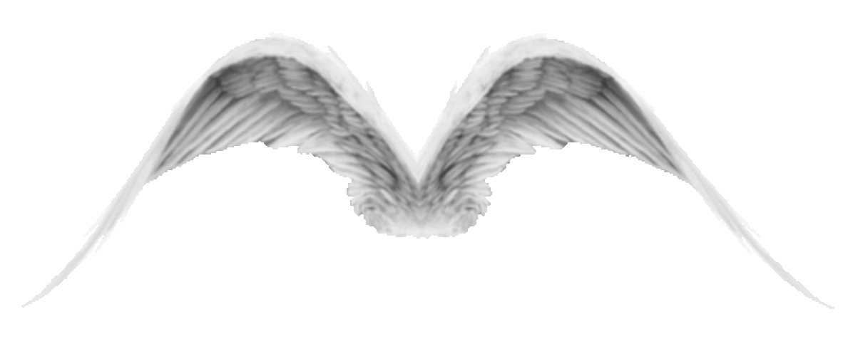 Angel Wings Flapping GIF
