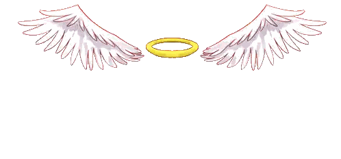 Angel Wings with Golden Halo