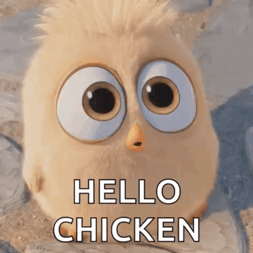Angry Bird Saying Hello Chicken GIF