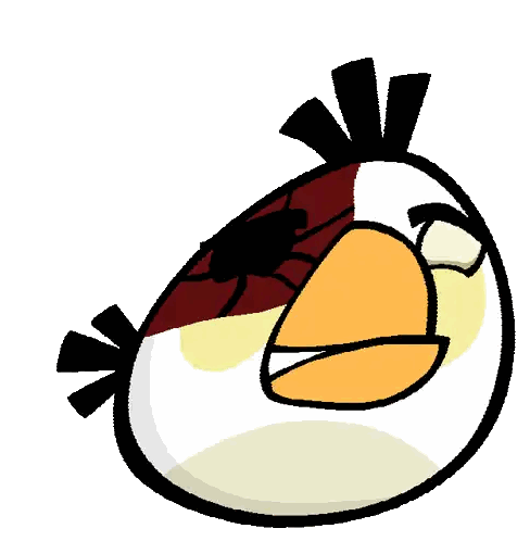 Angry Bird with Spider on Head