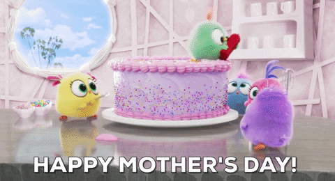 Angry Birds Animation Happy Mother Day GIF