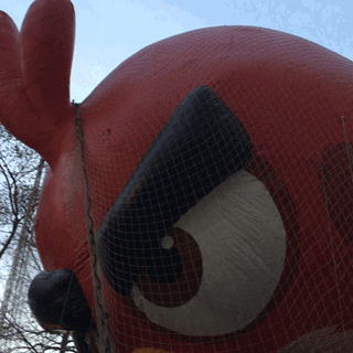 Angry Birds Big Red Inflatable Balloon GIF