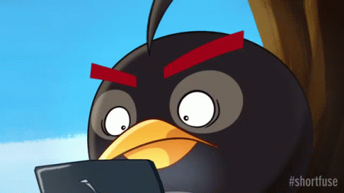 Angry Birds Black Ticking Time Bomb GIF