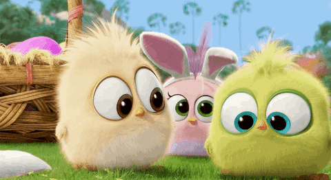 Angry Birds Eastern Bunnies Hatchlings GIF