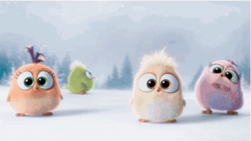 Angry Birds Peek A Boo Licking GIF