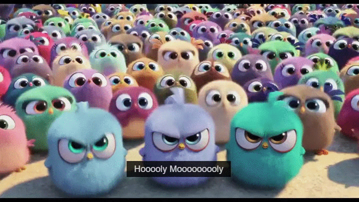Angry Birds Pink Holy Moly GIF