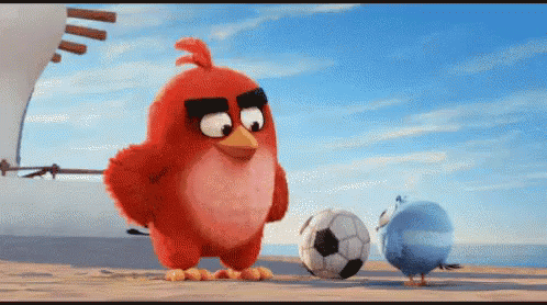 Angry Birds Playing Soccer On Beach GIF