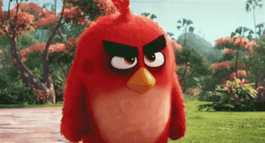 Angry Birds Blue Vicious Stare GIF