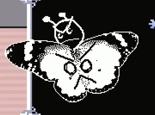 Angry Black And White Butterfly GIF
