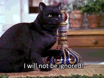 Angry Black Cat Being Left On Read GIF