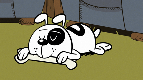 Angry Cartoon Dog Bone Snatched GIF