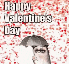 Angry Cat Happy Valentines Day GIF