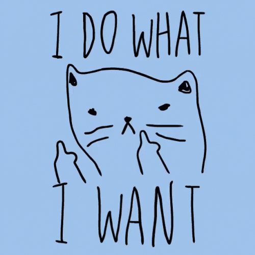 Angry Cat I Do What I Want GIF