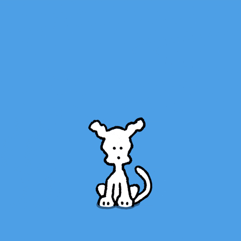 Angry Cat Next Door GIF