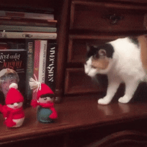 Angry Christmad Cat Sabotage GIF