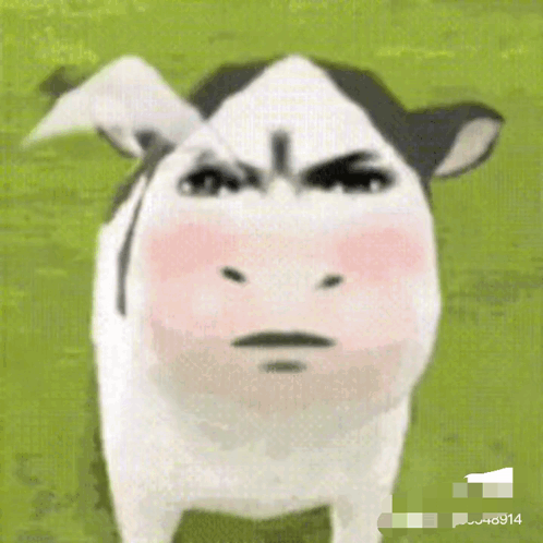 Angry Cow Hashtag 6914