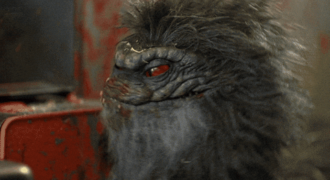 Angry Critters Got Bald GIF
