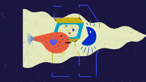 Angry Cute Pufferfish Fight GIF