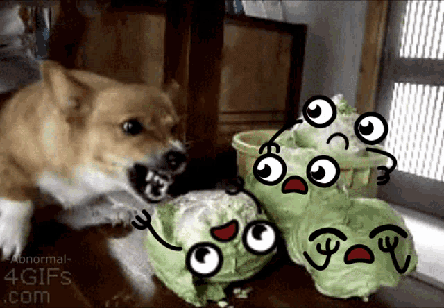 Angry Dog Lettuce Animation Face GIF