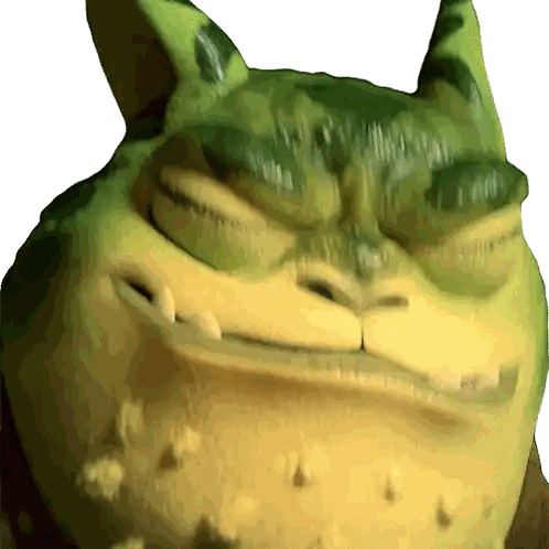 Angry Frog Face Close Up