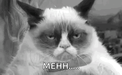 Angry Grumpy Cat in Black and White