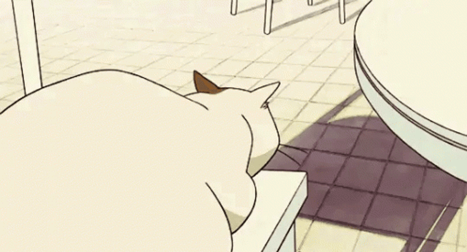 White cat very angry on Make a GIF