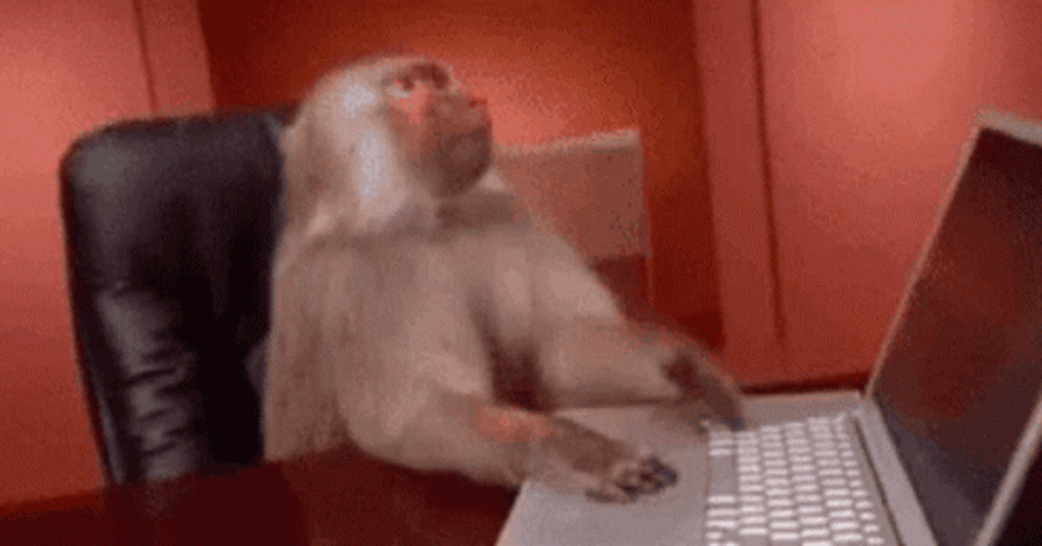 Angry Monkey Typing Throw Laptop GIF