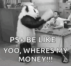 Angry Panda Where's My Money GIF