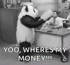 Angry Panda Yoo Where's My Money GIF