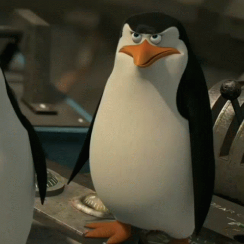 Angry Penguin Standing Next To Another Penguin GIF
