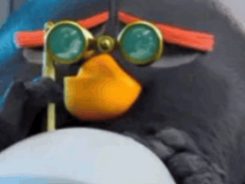 Angry Penguin With Goggles GIF