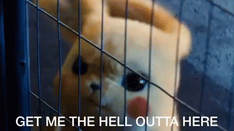 Angry Pikachu Get Me Outta Here GIF