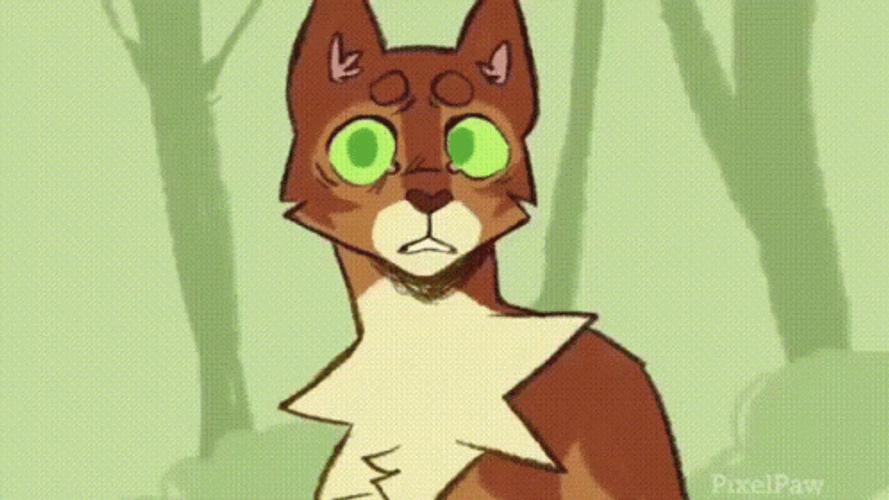 Angry Warrior Cats Moment GIF