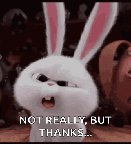 Angry White Rabbit Secret Life Of Pets Not Really But Thanks GIF