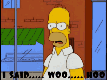 Angry Wrinkled Forehead Homer Woohoo GIF