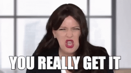Angry You Really Get It GIF