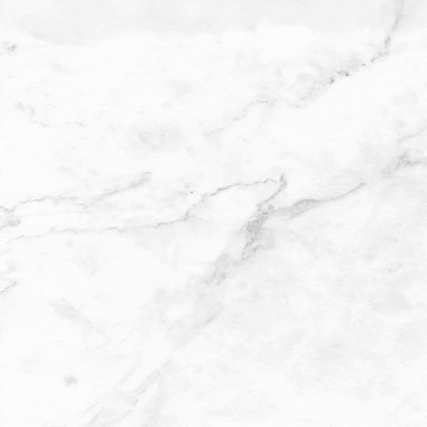 Animado Feliz Cumpleaños 480 X 480 Gif GIF