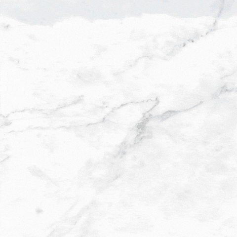 Animado Feliz Cumpleaños 480 X 480 Gif GIF