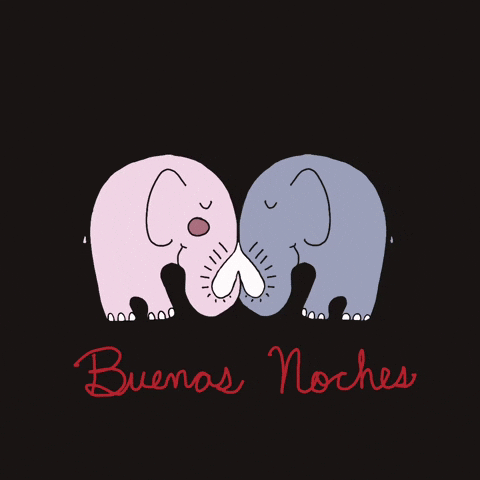 Animados Buenas Noches 480 X 480 Gif GIF