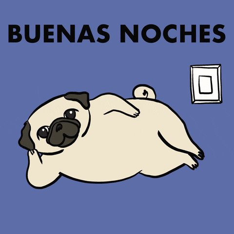 Animados Buenas Noches 480 X 480 Gif GIF