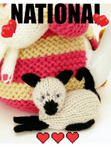 Animal Hug National Cat Day GIF