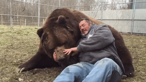 Animal Hug Sweet Human Bear GIF