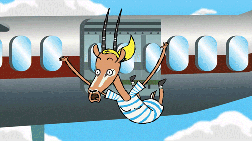 Animal Jumping Out Window Plane GIF