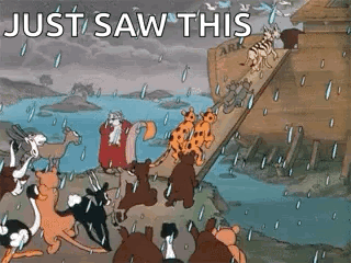 Animals Ark Rain Saying Just Saw This