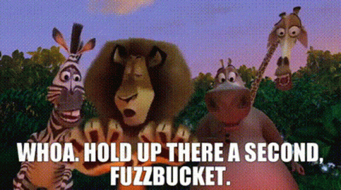 Animals Madagascar Hold Up Wait A Minute GIF